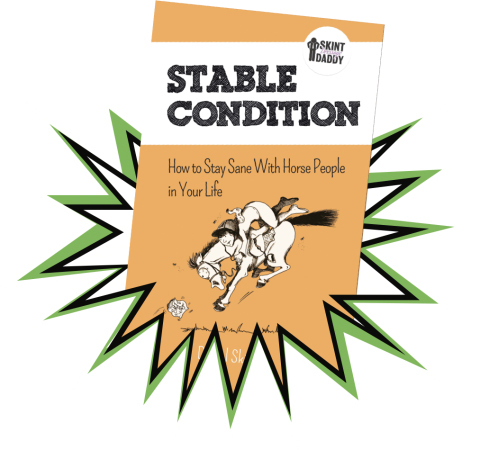 Stable Condition book cover